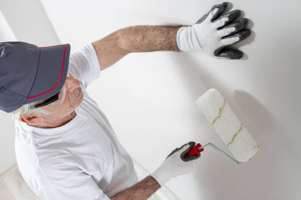 Best Emergency Mold Remediation  in Hamilton, IN