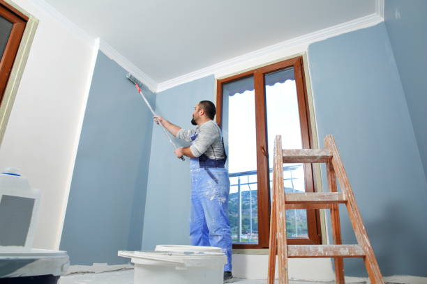Best Water Damage & Mold Remediation  in Hamilton, IN