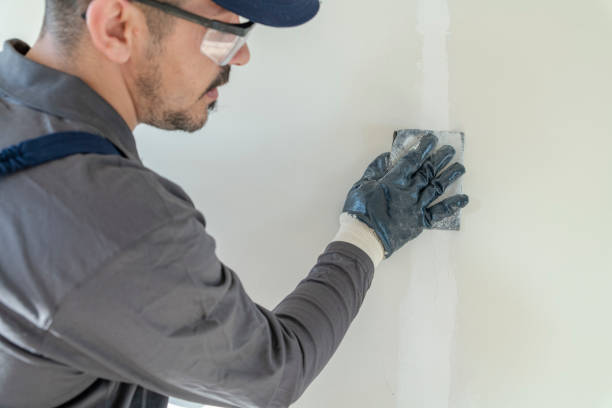 Best Mold Prevention Services  in Hamilton, IN
