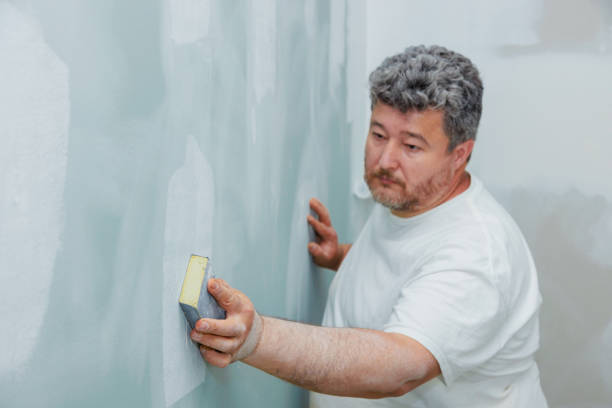 Best Emergency Mold Remediation  in Hamilton, IN